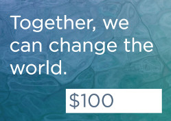 Together we can change the world: Donate 100 dollars