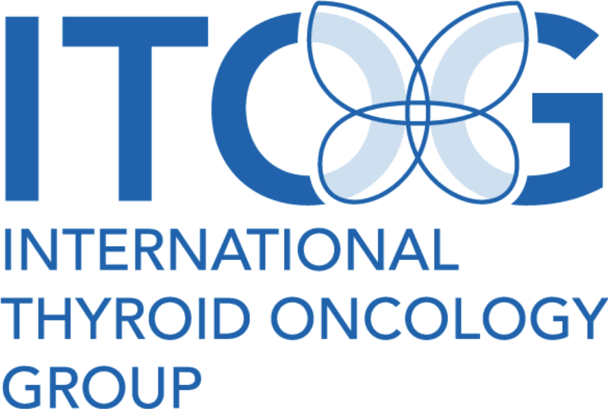 ITOG Logo